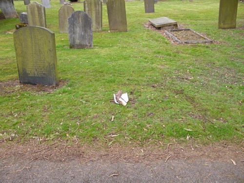 Eccles_grave_spot.jpg Eccles_grave_spot.jpg