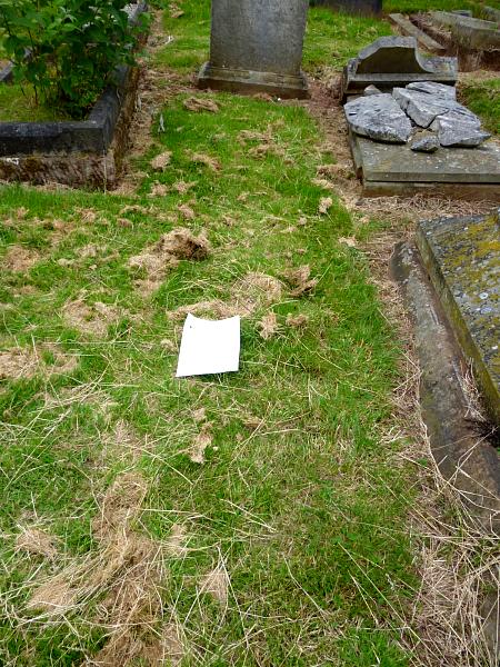Edwin_Brown_grave_location_1.JPG